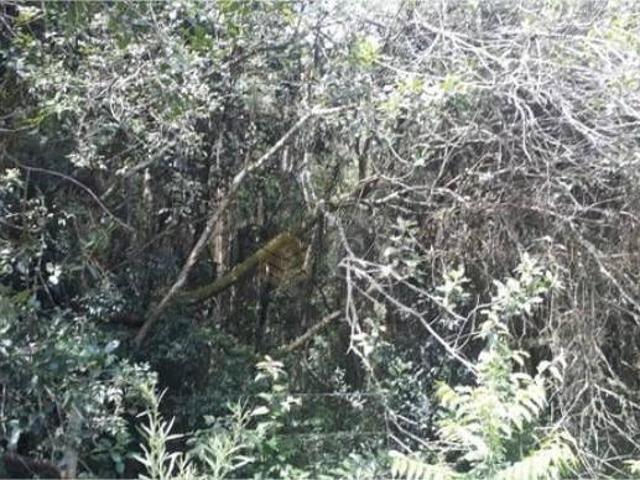 Terreno à venda, 1400 m² por R$ 35.000,00 Águas Claras Viamão/RS