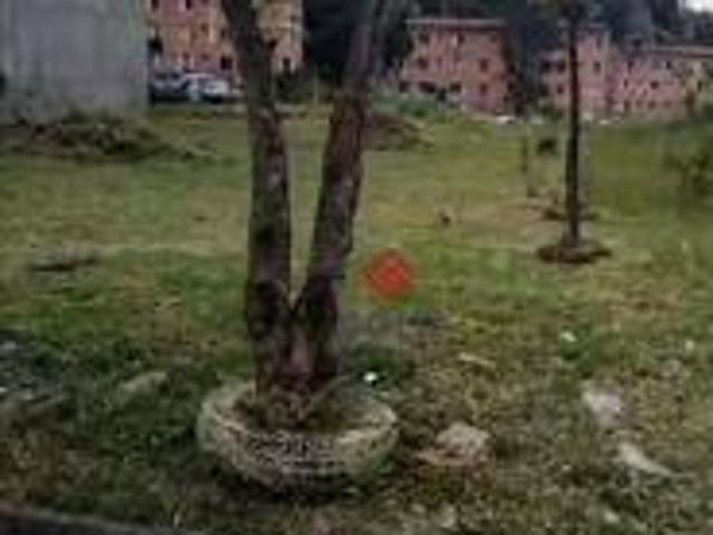 Terreno à venda, 142 m² por R$ 324.999,00 Alves Dias São Bernardo do Campo/SP