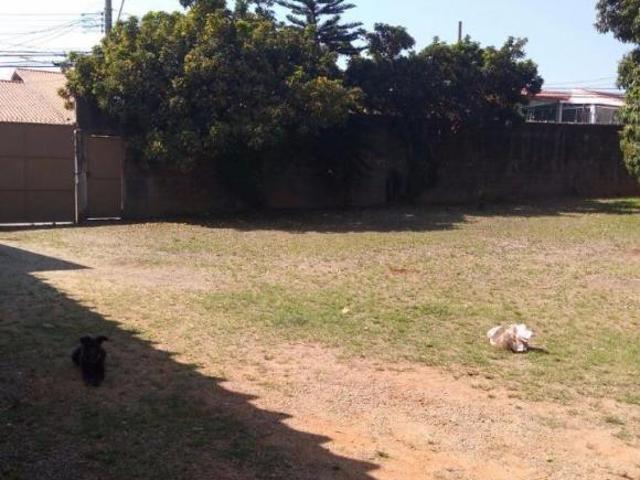 Terreno à venda, 1548 m² por R$ 3.200.000,00 Jardim Cocaia Guarulhos/SP