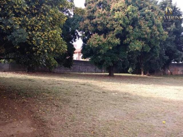 Terreno à venda, 1548 m² por R$ 3.200.000,00 Jardim Cocaia Guarulhos/SP