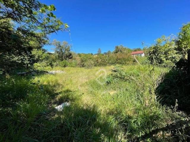 Terreno à venda, 1578 m² por R$ 375.000,00 Campestre São Leopoldo/RS