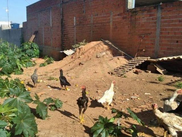 Terreno à venda, 150 m² por R$ 145.000,00 Jardim Boer I Americana/SP