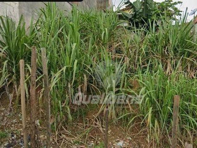 Terreno à venda, 165 m² por R$ 210.000,00 Vila Ana Mauá/SP