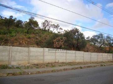 Terreno à venda, 1600 m² por R$ 3.000.000,00 Buritis Belo Horizonte/MG