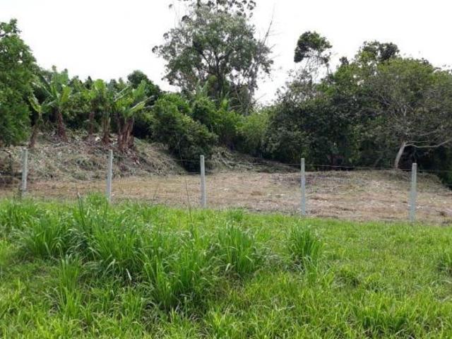 Terreno à venda, 1623 m² por R$ 50.000,00 Sambaq