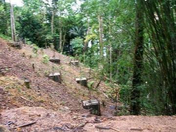 Terreno à venda, 1625 m² por R$ 8.000.000,00 Taguaiba Guarujá/SP