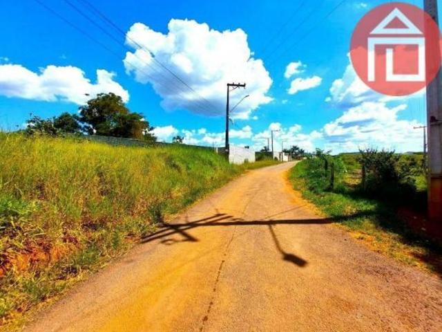 Terreno à venda, 1950 m² por R$ 320.000,00 Curitibanos Bragança Paulista/SP