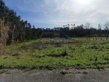 Terreno à Venda 1900m²