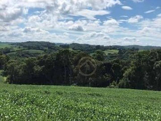 Terreno à venda, 193600 m² por R$ 1.760.000,00 Água Amarela Antônio Olinto/PR