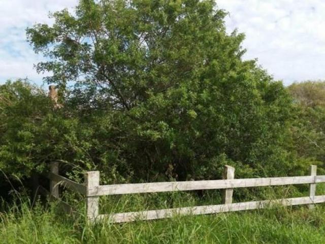 Terreno à venda, 208 m² por R$ 195.000,00 Cassino Rio Grande/RS