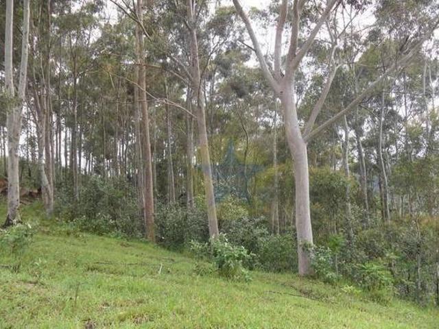 Terreno à venda, 20000 m² por R$ 350.000,00 Chácaras Maringá Atibaia/SP
