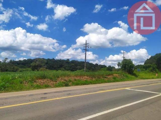 Terreno à venda, 20290 m² por R$ 2.435.000,00 Biriçá Bragança Paulista/SP