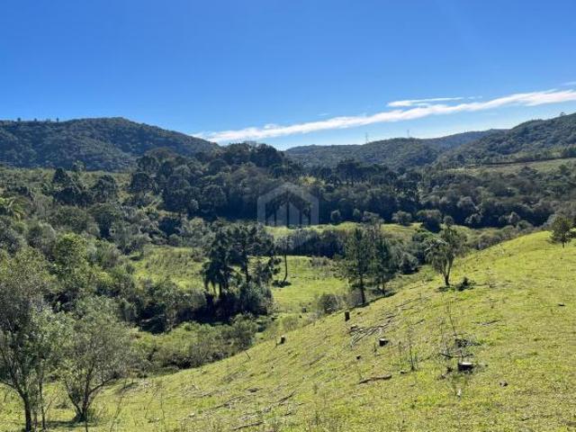 Terreno à venda, 20.000m R 1.400.000,00 Balsa Nova, SAO LUIZ DO PURUNA PR