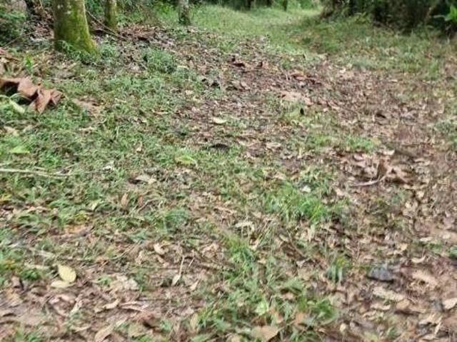 Terreno à venda, 20 m² por R$ 390.000 Botujuru Mogi das Cruzes/SP