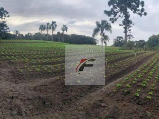 Terreno à venda, 21000 m² por R$ 4.490.000 Umbará Curitiba/PR