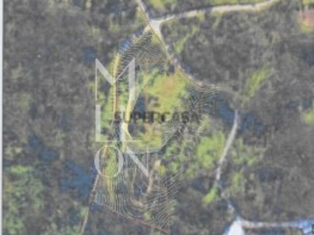 Terreno à Venda 40.000 m² com Mata Nativa, Pinhal e Eucaliptal