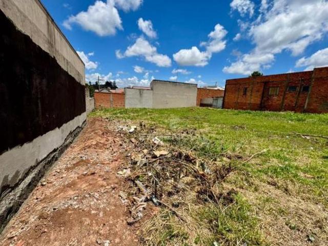 Terreno à venda, 250 m² por R$ 110.000,00 Residencial Cedro Botucatu/SP
