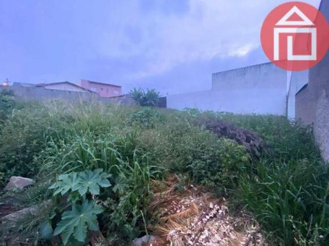 Terreno à venda, 250 m² por R$ 215.000,00 Jardim Vista Alegre Bragança Paulista/SP