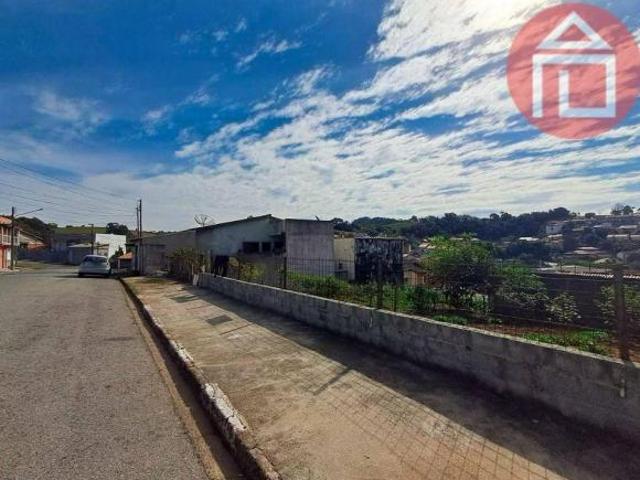 Terreno à venda, 250 m² por R$ 245.000,00 Jardim São Miguel Bragança Paulista/SP