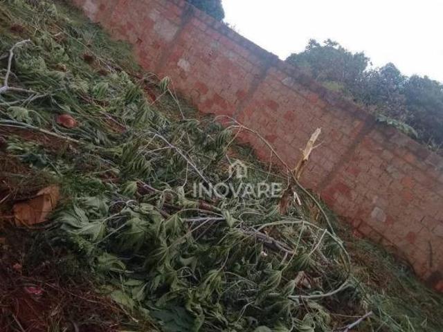 Terreno à venda, 250 m² por R$ 60.000,00 Remy Martins Ferreira Itumbiara/GO