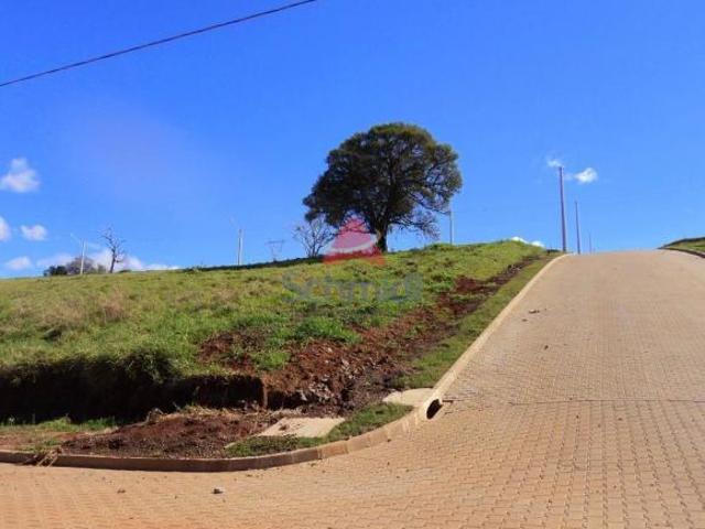 Terreno à venda, 250 m² por R$ 92.400,00 Arroio da Manteiga São Leopoldo/RS