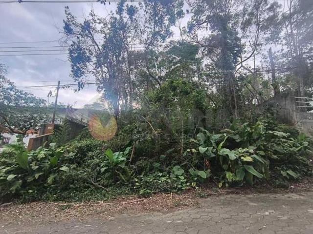 Terreno à venda, 252 m² por R$ 450.000,00 Massaguaçu Caraguatatuba/SP