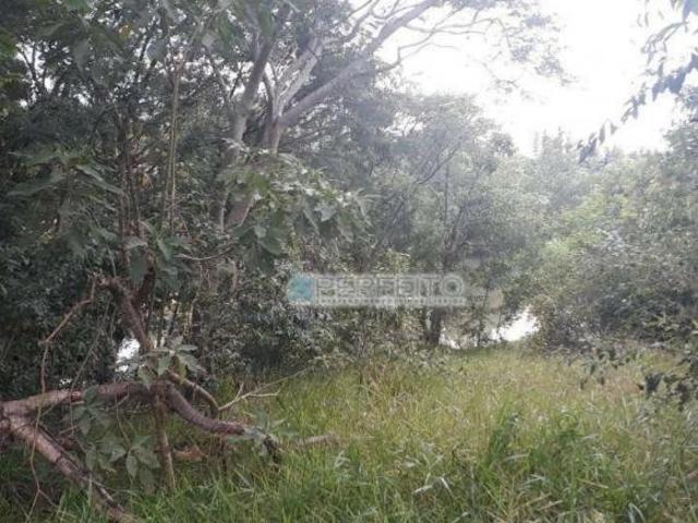 Terreno à venda, 2531 m² por R$ 6.500.000 Bela Suíça em Londrina/PR