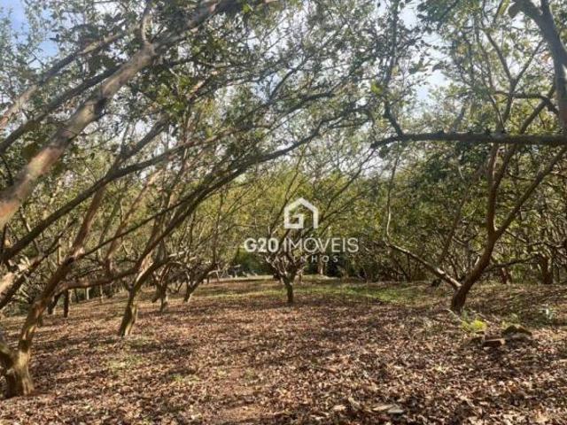 Terreno à venda, 26200 m² por R$ 1.600.000,00 Capuava Valinhos/SP
