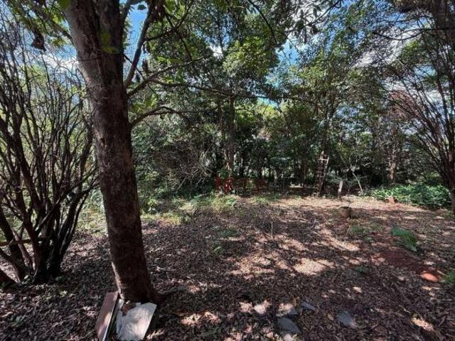 Terreno à venda, 2700 m² por R$ 500.000,00 Vila Suzana Mateus Leme/MG