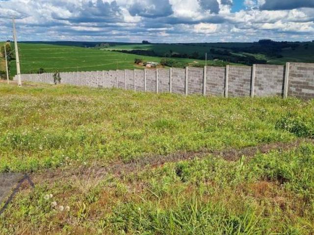 Terreno à venda, 285 m² por R$ 230.000,00 Santa Tereza Do Oeste Santa Tereza do Oeste/PR