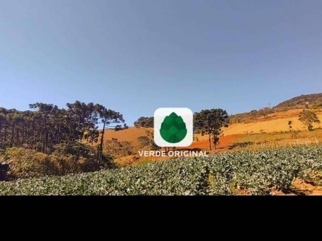 Terreno à venda, 28.000 m² por R$ 350.000 Bairro do Paiol Sapucaí Mirim/MG