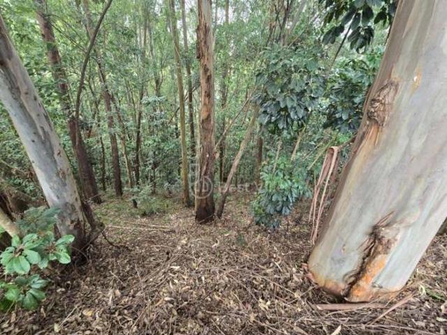 Terreno à venda, 2916 m² por R$ 4.000.000 Alphaville Barueri/SP