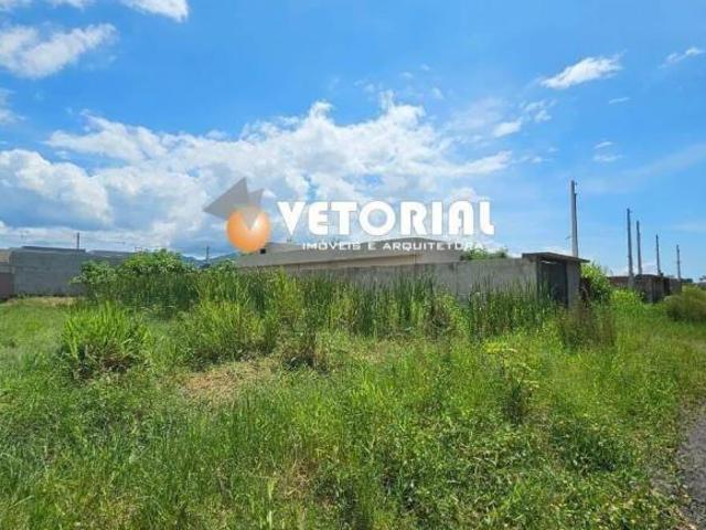 Terreno à venda, 300 m² por R$ 130.000,00 Dos Golfinhos Caraguatatuba/SP