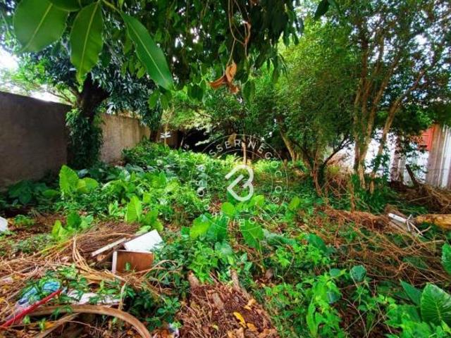 Terreno à venda, 302 m² por R$ 212.000,00 Feitoria São Leopoldo/RS