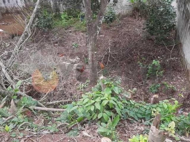 Terreno à venda, 302 m² por R$ 230.000,00 Massaguaçu Caraguatatuba/SP