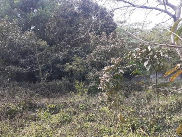 Terreno à venda, 3034 m² por R$ 1.300.000,00 Vila Santo Antônio Cotia/SP
