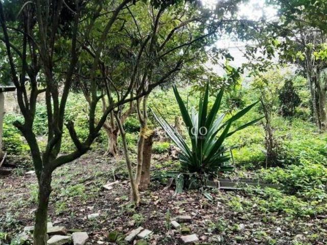 Terreno à venda, 316,68m² Quiririm Taubaté/SP