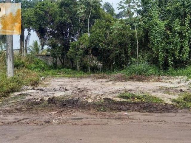 Terreno à venda, 329 m² por R$ 95.000,00 Jardim das Palmeiras Itanhaém/SP
