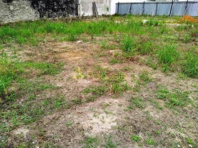 Terreno à venda 3200M², Crispim, Pindamonhangaba SP