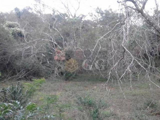 Terreno à venda, 3366 m² por R$ 80.000,00 Itapuã Viamão/RS