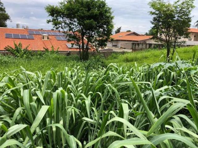 Terreno à venda, 330 m² por R$ 530.000,00 Werner Plaas Americana/SP