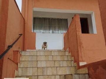 Terreno à venda, 332 m² por R$ 600.000,00 Vila dos Remédios São Paulo/SP