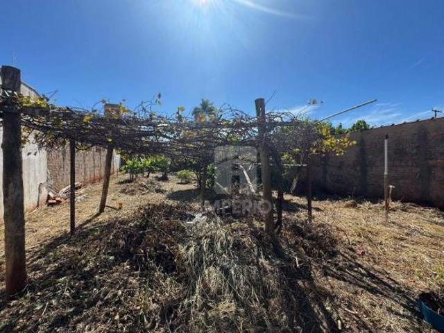 Terreno à venda, 354 m² por R$ 270.000,00 Jardim Maria Luiza II Jaú/SP