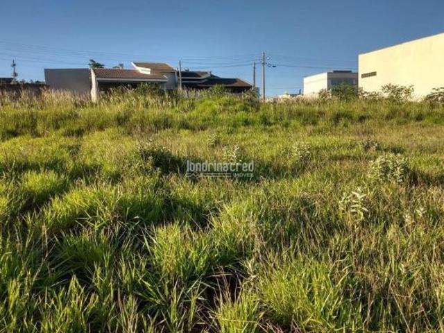 Terreno à venda 36000M², Centro, Jacarezinho PR