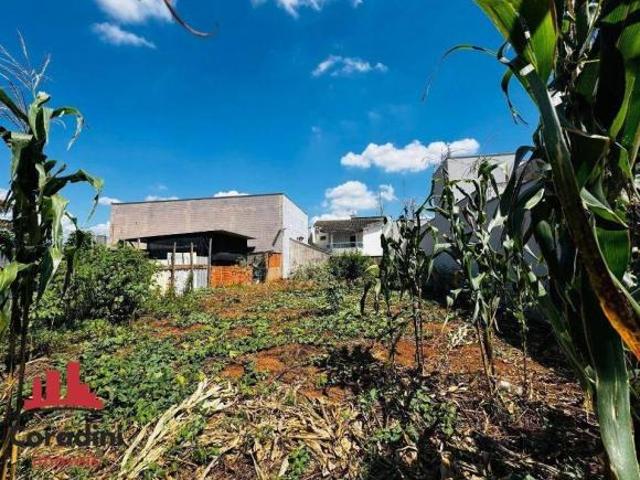 Terreno à venda, 375 m² por R$ 480.000 Jardim Terramérica I Americana/SP