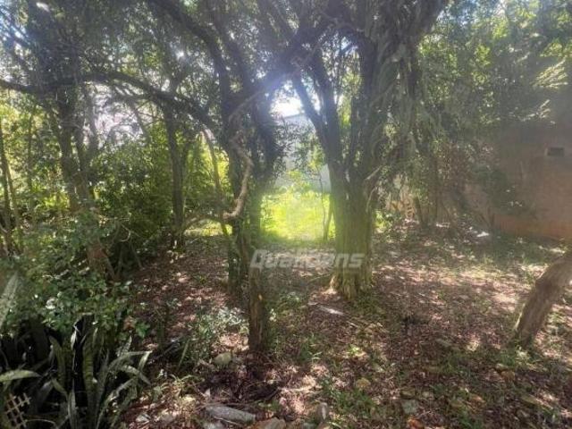 Terreno à venda, 400 m² por R$ 1.200.000,00 Vila Bocaina Mauá/SP