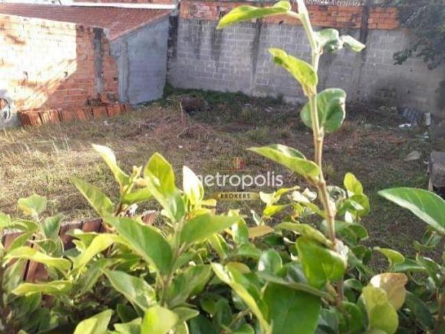 Terreno à venda, 400 m² por R$ 650.000,00 Vila Flórida São Bernardo do Campo/SP