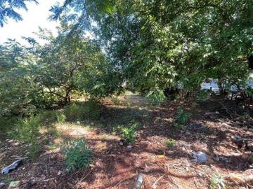 Terreno à venda, 420 m² Jardim Ipiranga Americana/SP