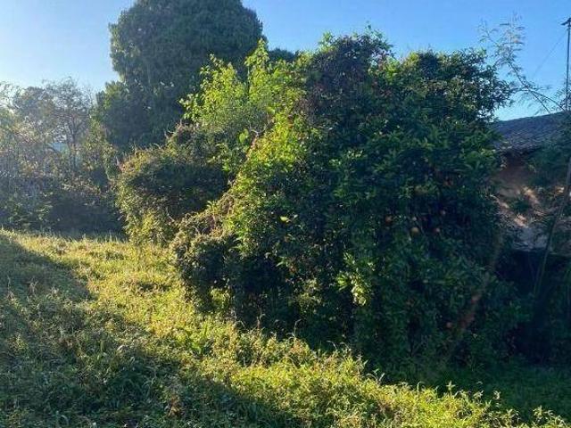 Terreno à venda, 420 m² por R$ 289.000,00 Santo André São Leopoldo/RS