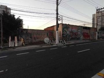 Terreno à venda, 439 m² por R$ 1.380.000,00 Vila Buenos Aires São Paulo/SP